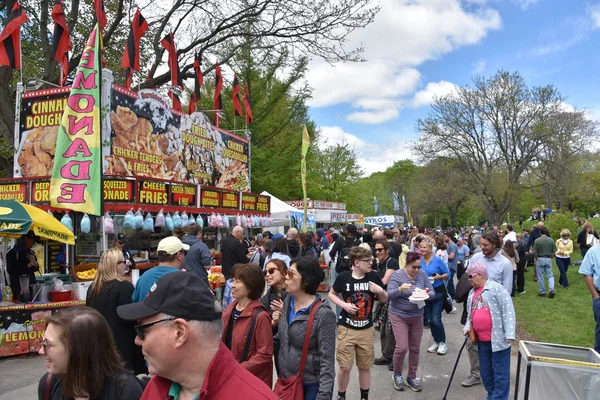 2019年5月11日 ニューヨーク州アルバニーのワシントンパークで開催される2019チューリップフェスティバル 第1回チューリップフェストは1949年5月14日に開催され 毎年恒例のイベントです — ストック写真