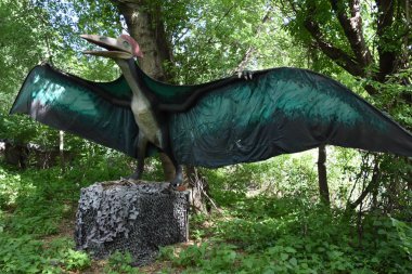 LEONIA, NJ - 27 Mayıs: Leonia, New Jersey 'deki dinozorlar, 27 Mayıs 2019' da görüldüğü gibi.