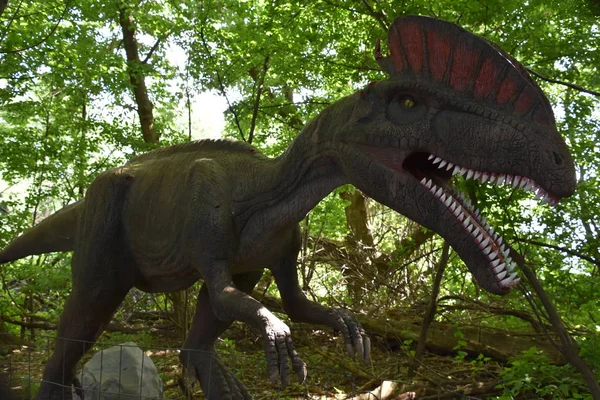 Leonia May Field Station Dinosaurs Leonia New Jersey 2019 — 스톡 사진