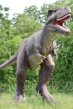 LEONIA, NJ - 27 Mayıs: Leonia, New Jersey 'deki dinozorlar, 27 Mayıs 2019' da görüldüğü gibi.