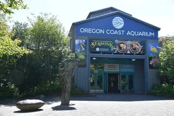 Newport Jun Oregon Coast Aquarium Newport Oregon Seen June 2019 — Stock Photo, Image