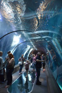 NEWPORT, OR - 9 Haziran 2019 'da görüldüğü üzere Oregon Sahil Akvaryumu Newport, Oregon.