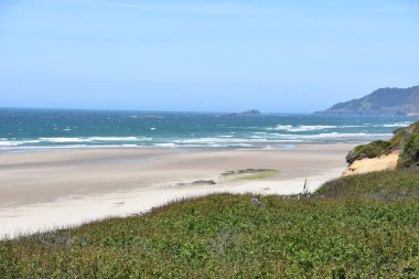 ABD 'deki Oregon Sahili manzarası