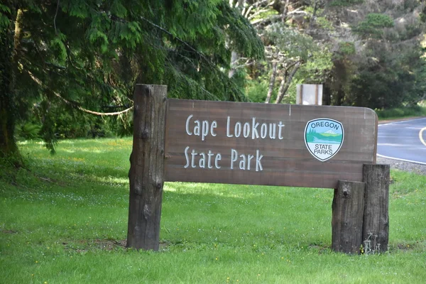 Cape Lookout State Park Tillamook Oregon — Fotografia de Stock