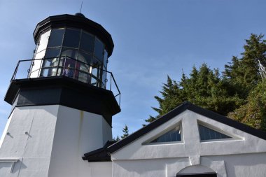Cape Meares Deniz Feneri Tillamook, Oregon açıklarında.
