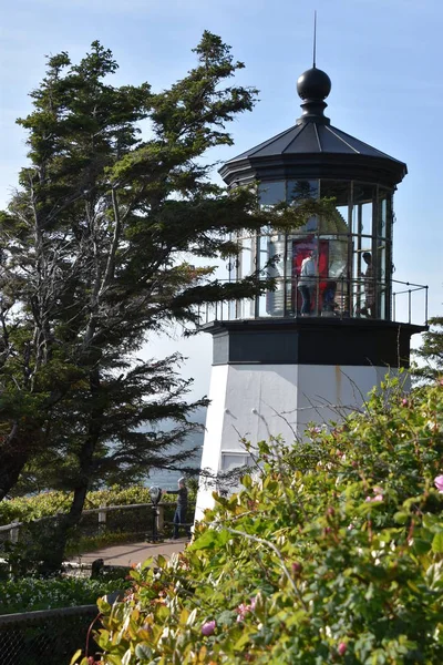 Cape Meares Farol Largo Costa Tillamook Oregon — Fotografia de Stock