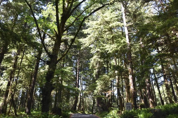 Парк Экола Орегоне — стоковое фото