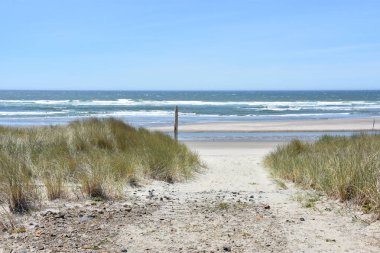 ABD 'deki Oregon Sahili manzarası