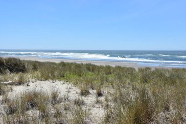 ABD 'deki Oregon Sahili manzarası