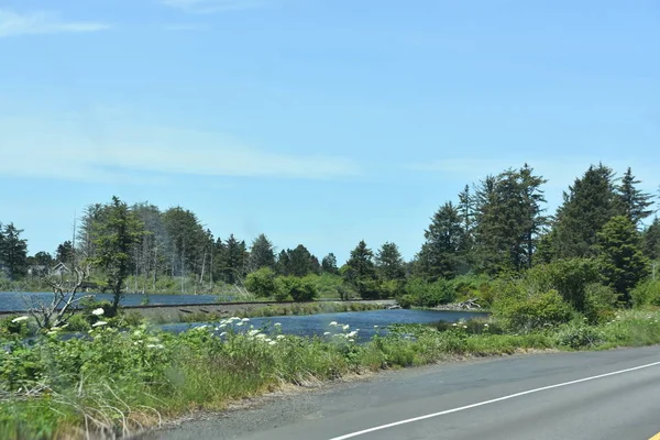 Pohled Pobřeží Oregonu Usa — Stock fotografie