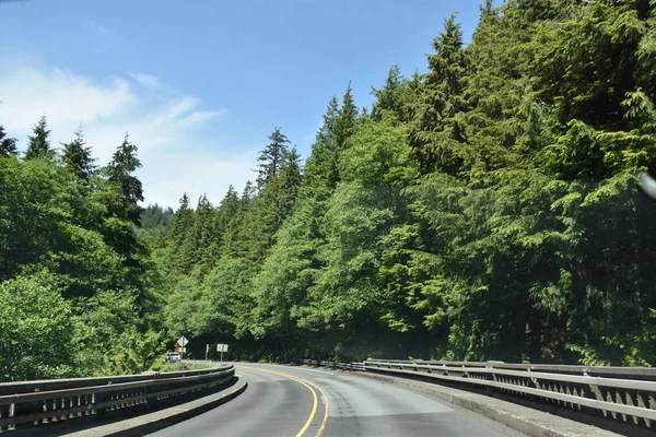 Utsikt Över Oregon Coast Usa — Stockfoto