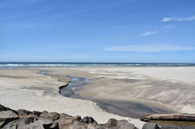 10 Haziran 2022 'de Queens, New York' taki Rockaway Beach State Wayside 'da görüldü..