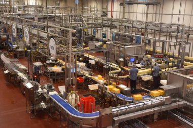 TILLAMOOK, OR - 9 Haziran 2019 'da Tillamook, Oregon' daki Tillamook Mandıra 'da peynir pişirme işlemi. Etkinlikte lezzetli peynir örnekleri, etkileşimli büfeler, fabrika izleme pencereleri ve bir kafeinli turlar sunuluyor..