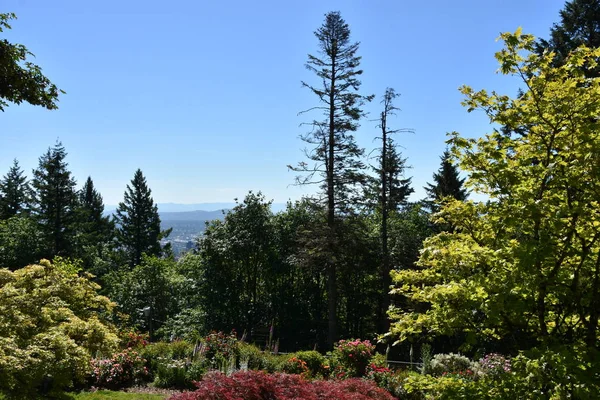 Vista Portland Oregon Desde Pittock Mansion — Foto de Stock