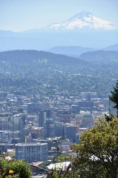 Portland Oregon Manzarası Pittock Mansion Dan — Stok fotoğraf