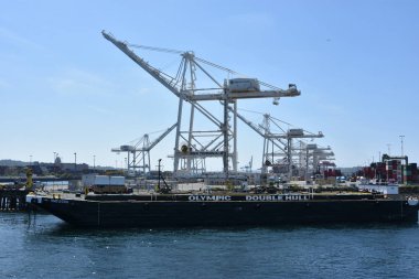 SEATTLE, WA - 13 Haziran 2019 'da Seattle, Washington limanında görülen vinçler.