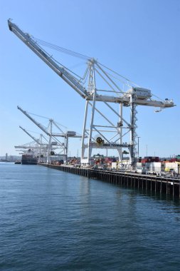 SEATTLE, WA - 13 Haziran 2019 'da Seattle, Washington limanında görülen vinçler.