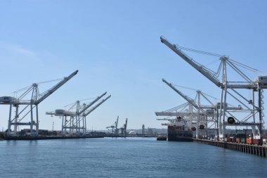 SEATTLE, WA - 13 Haziran 2019 'da Seattle, Washington limanında görülen vinçler.