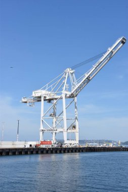 SEATTLE, WA - 13 Haziran 2019 'da Seattle, Washington limanında görülen vinçler.