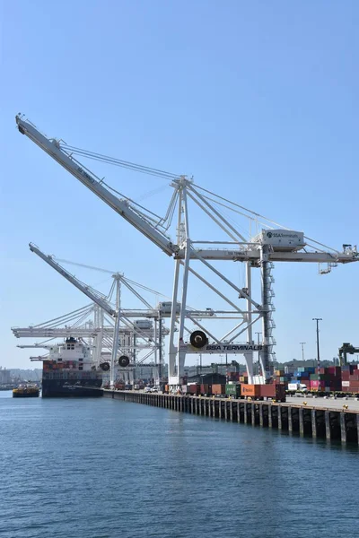Seattle Jun Dockyard Cranes Port Seattle Washington Seen Jun 2019 — Stockfoto