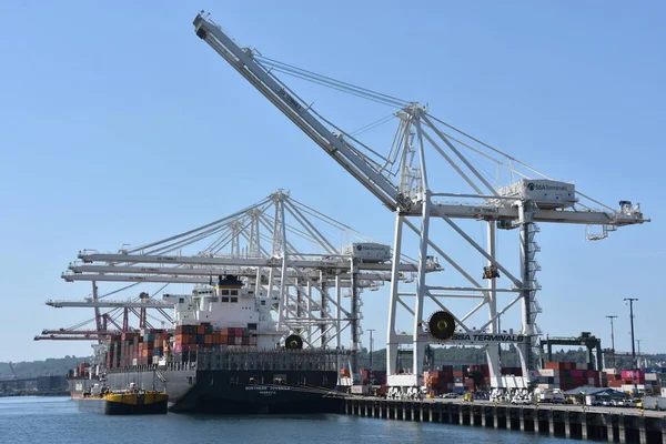 Seattle Giugno Dockyard Cranes Porto Seattle Washington Come Visto Giugno — Foto Stock