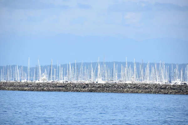 Seattle Washington Daki Marina Manzarası — Stok fotoğraf