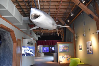 SEATTLE, WA - 15 Temmuz 2019 'da görüldüğü gibi, Washington' daki Seattle Akvaryumu. 1977 yılında Elliott Körfezi rıhtımında 59. rıhtımda açılan bir akvaryum..