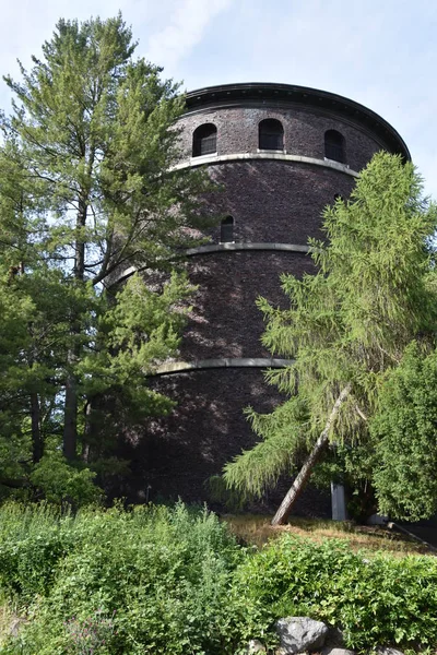 Water Tower Dobrovolnickém Parku Seattlu Oregon — Stock fotografie