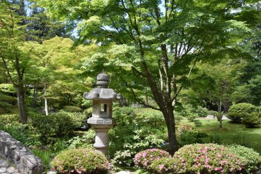 Seattle Japon Bahçesi Washington Park Arboretum de Seattle, Washington