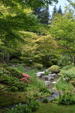 Seattle Japon Bahçesi Washington Park Arboretum de Seattle, Washington