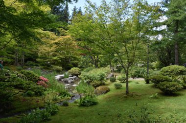 Seattle Japon Bahçesi Washington Park Arboretum de Seattle, Washington