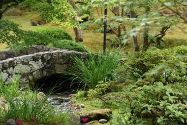 Seattle Japon Bahçesi Washington Park Arboretum de Seattle, Washington