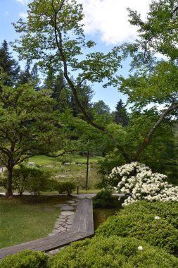 Seattle Japon Bahçesi Washington Park Arboretum de Seattle, Washington