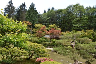 Seattle Japon Bahçesi Washington Park Arboretum de Seattle, Washington