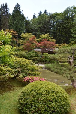 Seattle Japon Bahçesi Washington Park Arboretum de Seattle, Washington