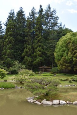 Seattle Japon Bahçesi Washington Park Arboretum de Seattle, Washington