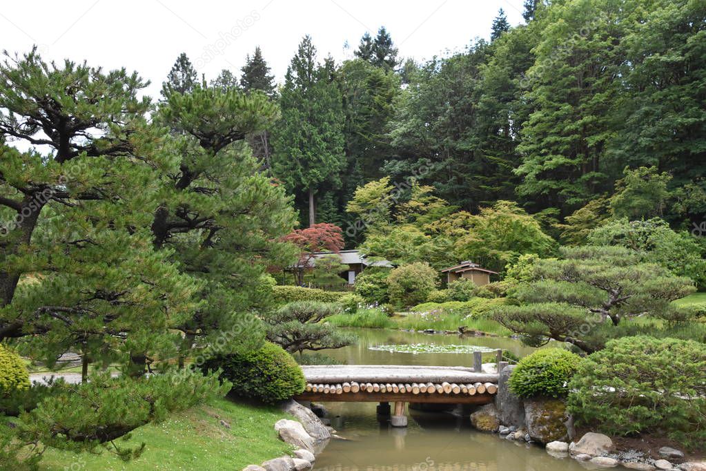 Seattle Japanese Garden at Washington Park Arboretum in Seattle, Washington
