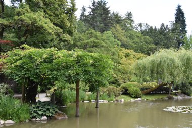 Seattle Japon Bahçesi Washington Park Arboretum de Seattle, Washington