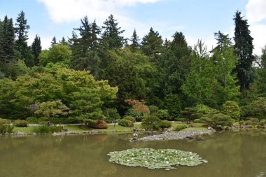 Seattle Japon Bahçesi Washington Park Arboretum de Seattle, Washington