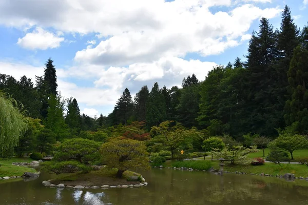Seattle Japon Bahçesi Washington Park Arboretum Seattle Washington — Stok fotoğraf