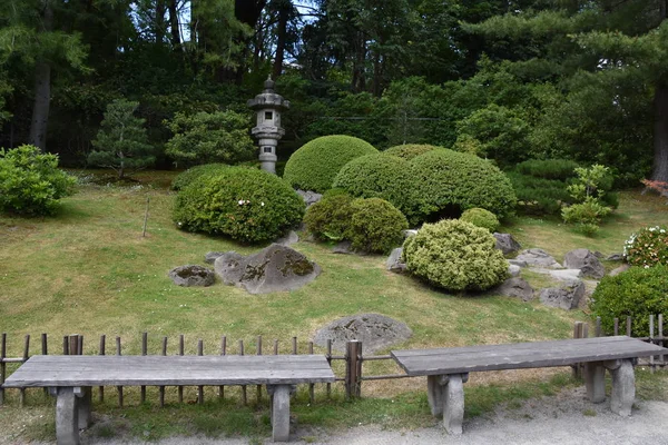 Seattle Japon Bahçesi Washington Park Arboretum Seattle Washington — Stok fotoğraf