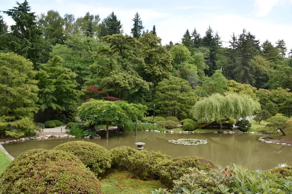 Seattle Japon Bahçesi Washington Park Arboretum Seattle Washington — Stok fotoğraf