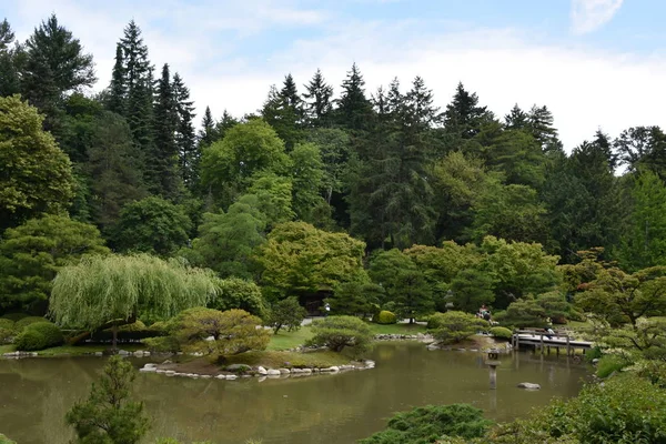 Seattle Japon Bahçesi Washington Park Arboretum Seattle Washington — Stok fotoğraf