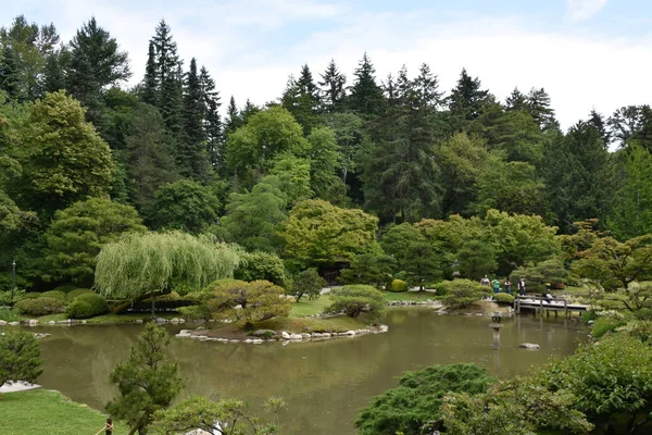 Seattle Japon Bahçesi Washington Park Arboretum Seattle Washington — Stok fotoğraf