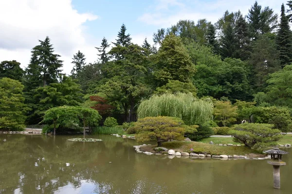 Seattle Japon Bahçesi Washington Park Arboretum Seattle Washington — Stok fotoğraf