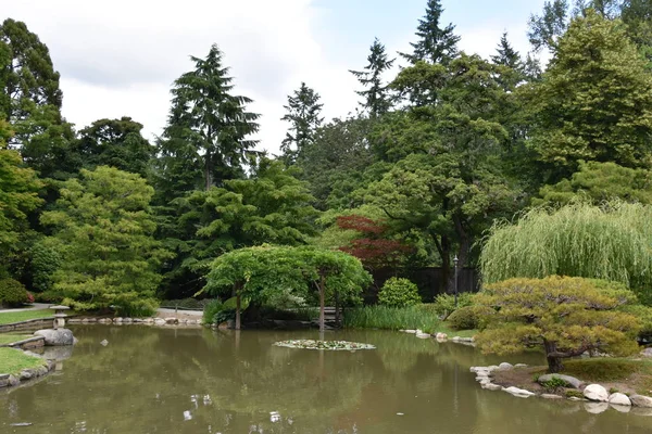 Seattle Japon Bahçesi Washington Park Arboretum Seattle Washington — Stok fotoğraf