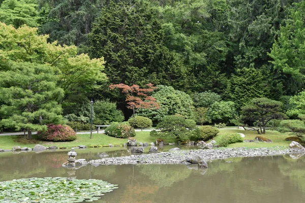 Seattle Japanese Garden Washington Park Arboretum Seattle Washington — Stockfoto