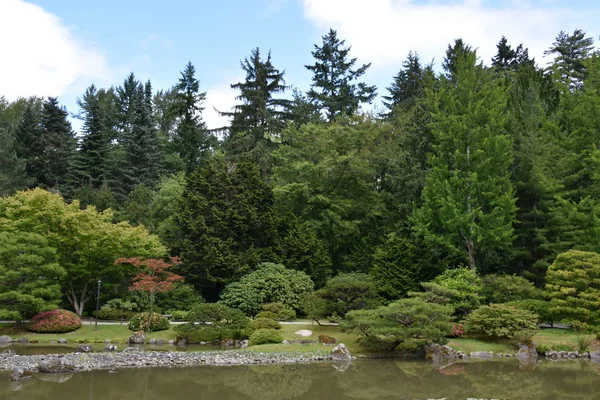 Seattle Japon Bahçesi Washington Park Arboretum Seattle Washington — Stok fotoğraf