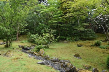 Seattle Japon Bahçesi Washington Park Arboretum de Seattle, Washington