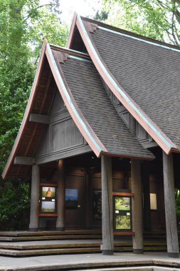 SEATTLE, WA - 14 Haziran 2018 'de Seattle, Washington' da Woodland Park Hayvanat Bahçesi 'nde görüldü..